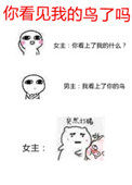 你看见我的猫了